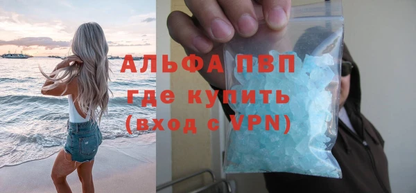 соль ск Сосновоборск