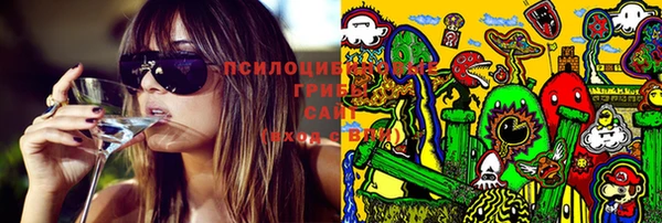 соль ск Сосновоборск