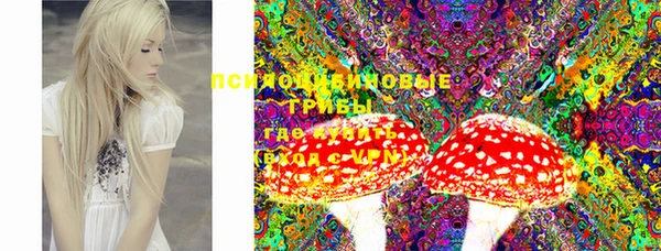 соль ск Сосновоборск